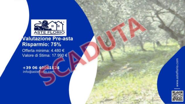 terreno agricolo in vendita ad Imperia in zona Costa d'Oneglia