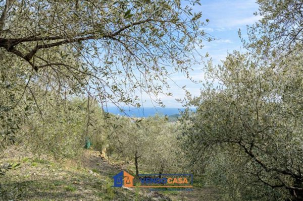 terreno agricolo in vendita ad Imperia in zona Torrazza / Clavi