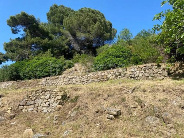 casa indipendente in vendita ad Imperia in zona Porto Maurizio