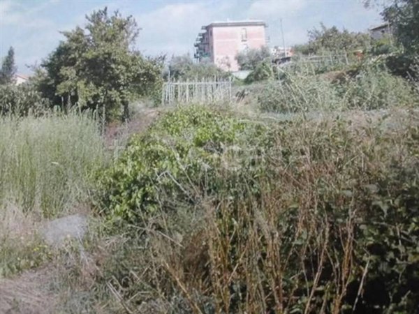 terreno agricolo in vendita ad Imperia in zona Porto Maurizio