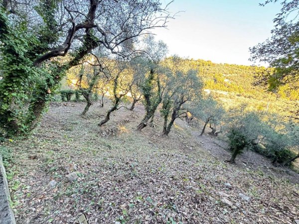terreno agricolo in vendita ad Imperia in zona Oneglia