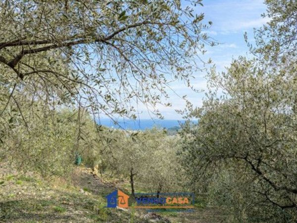 terreno agricolo in vendita ad Imperia in zona Torrazza / Clavi