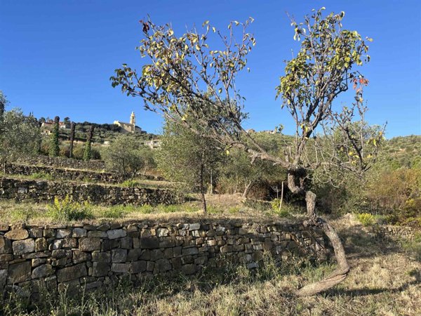 casa indipendente in vendita ad Imperia in zona Oneglia