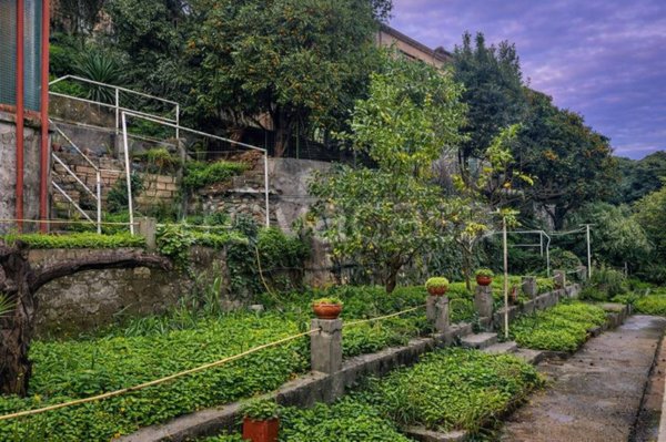 appartamento in vendita ad Imperia in zona Oneglia