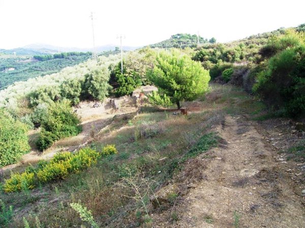 casa indipendente in vendita ad Imperia in zona Oneglia