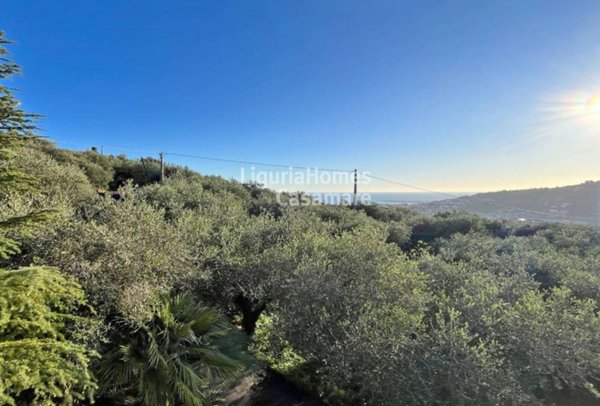 casa indipendente in vendita ad Imperia in zona Oneglia