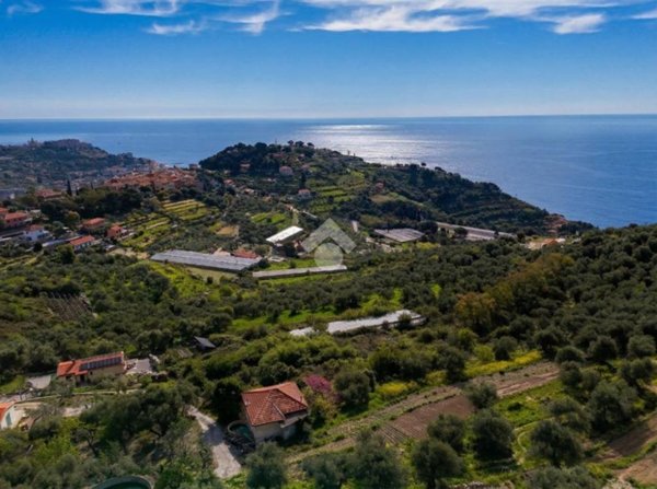 terreno agricolo in vendita ad Imperia in zona Poggi