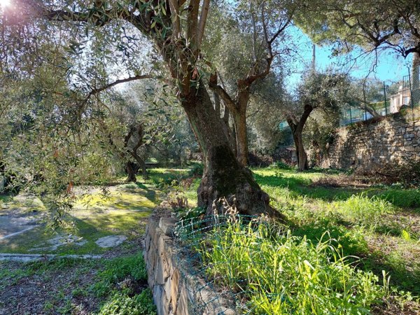 casa indipendente in vendita ad Imperia