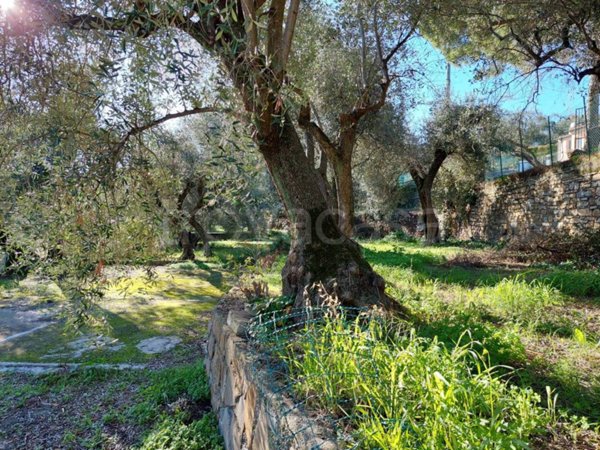 terreno agricolo in vendita ad Imperia in zona Torrazza / Clavi