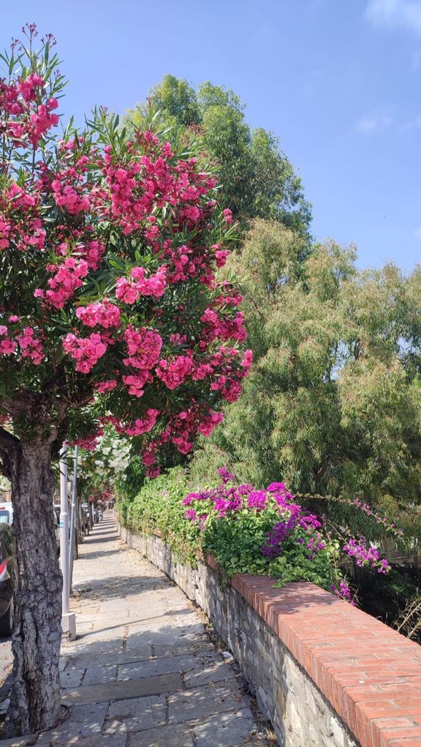 appartamento in vendita ad Imperia in zona Porto Maurizio