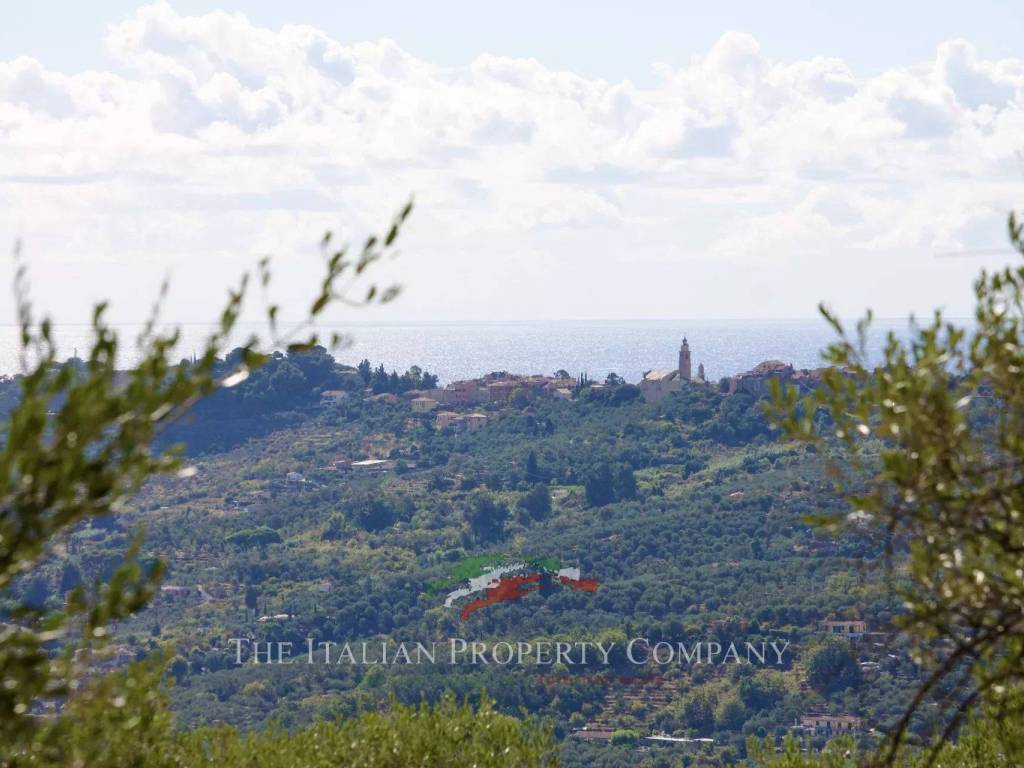 terreno agricolo in vendita ad Imperia in zona Torrazza / Clavi