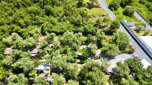 terreno agricolo in vendita ad Imperia in zona Porto Maurizio