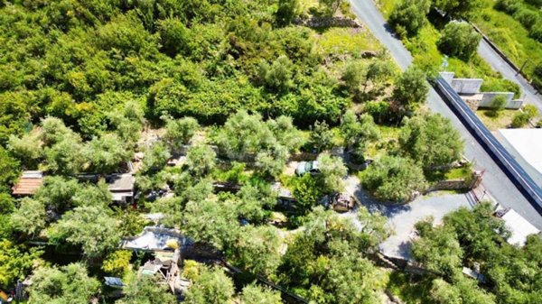 terreno agricolo in vendita ad Imperia in zona Porto Maurizio