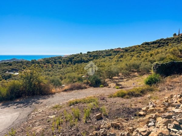 terreno agricolo in vendita ad Imperia in zona Torrazza / Clavi