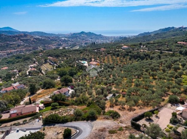azienda agricola in vendita ad Imperia in zona Torrazza / Clavi