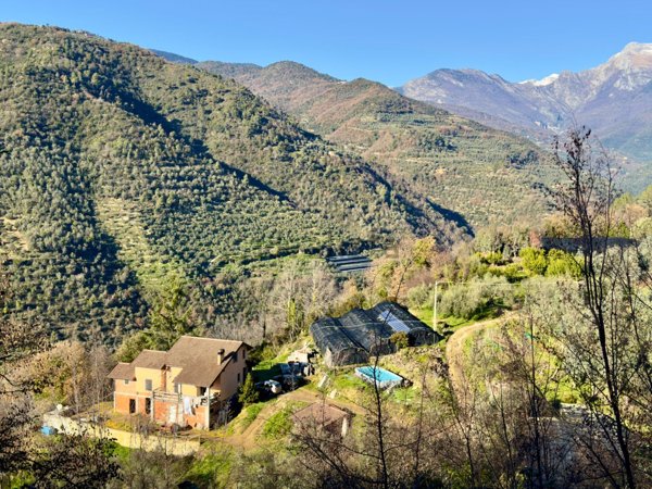 immagine annuncio 0 di 1