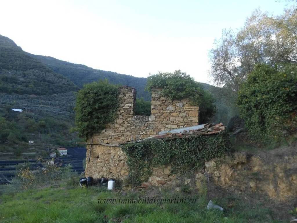 casa indipendente in vendita ad Isolabona
