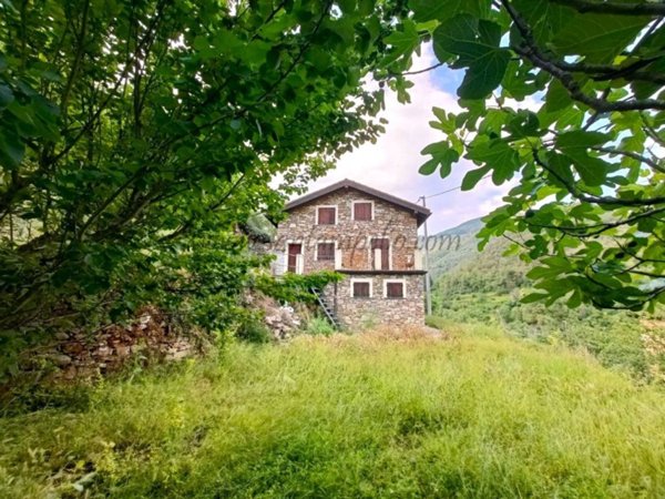 casa indipendente in vendita ad Isolabona