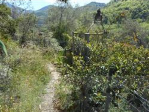 casa indipendente in vendita ad Isolabona