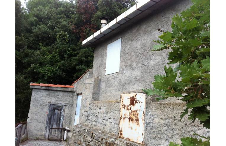 casa indipendente in vendita ad Isolabona