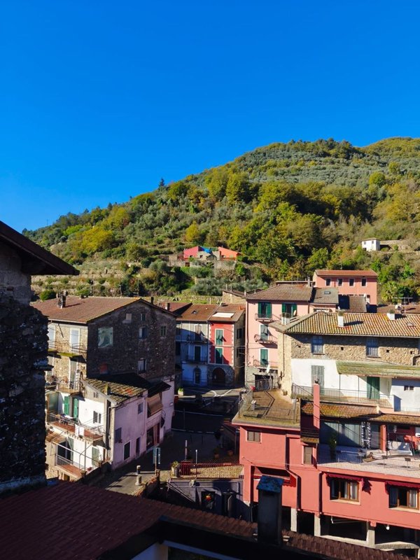 appartamento in vendita ad Isolabona