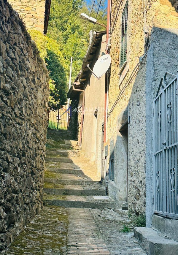 casa indipendente in vendita ad Isolabona
