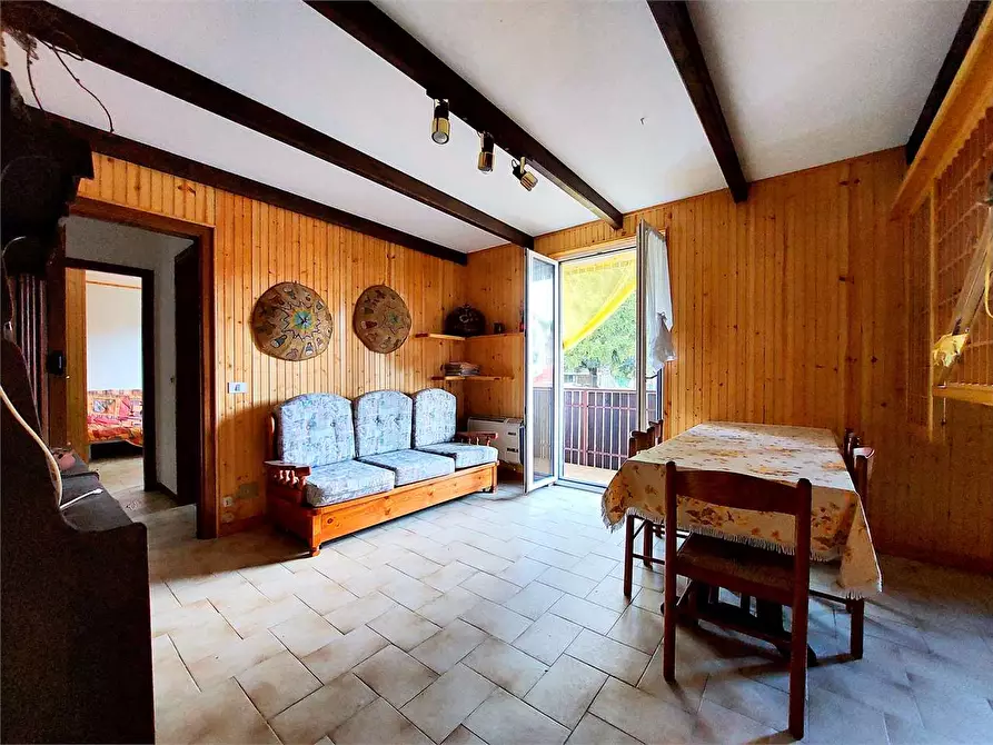 immagine annuncio 0 di 1