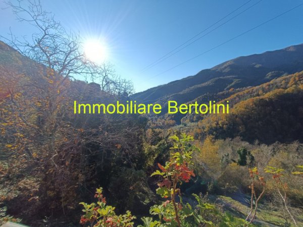 casa indipendente in vendita a Molini di Triora