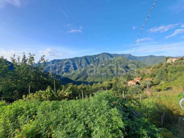 casa indipendente in vendita a Molini di Triora in zona Agaggio Superiore