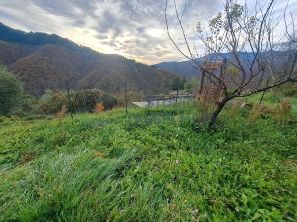 casa indipendente in vendita a Molini di Triora in zona Corte