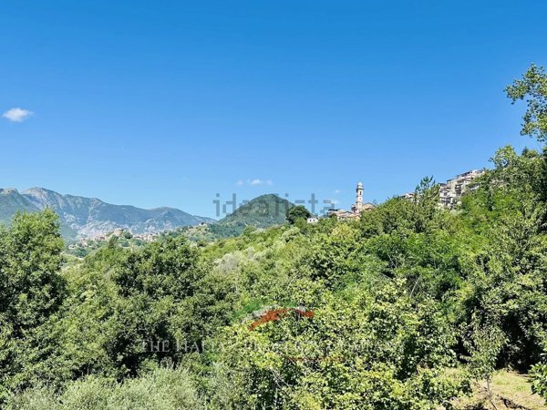 casa indipendente in vendita a Molini di Triora