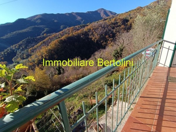 casa indipendente in vendita a Molini di Triora