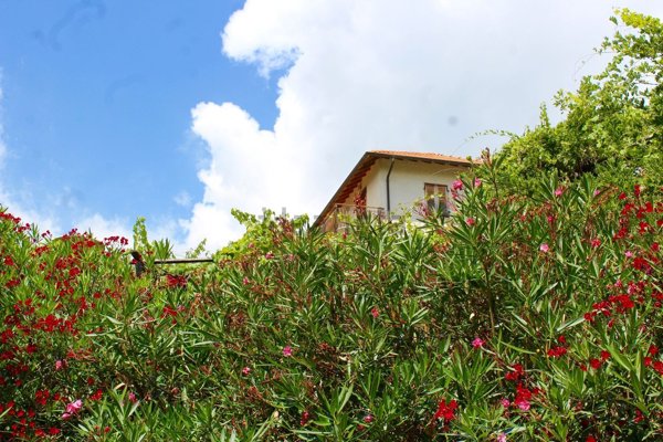 casa indipendente in vendita a Molini di Triora