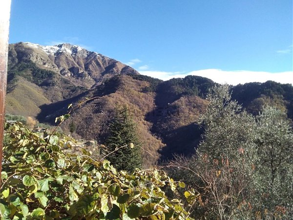 appartamento in vendita a Molini di Triora in zona Corte