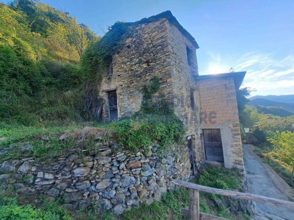 casa indipendente in vendita a Molini di Triora in zona Andagna