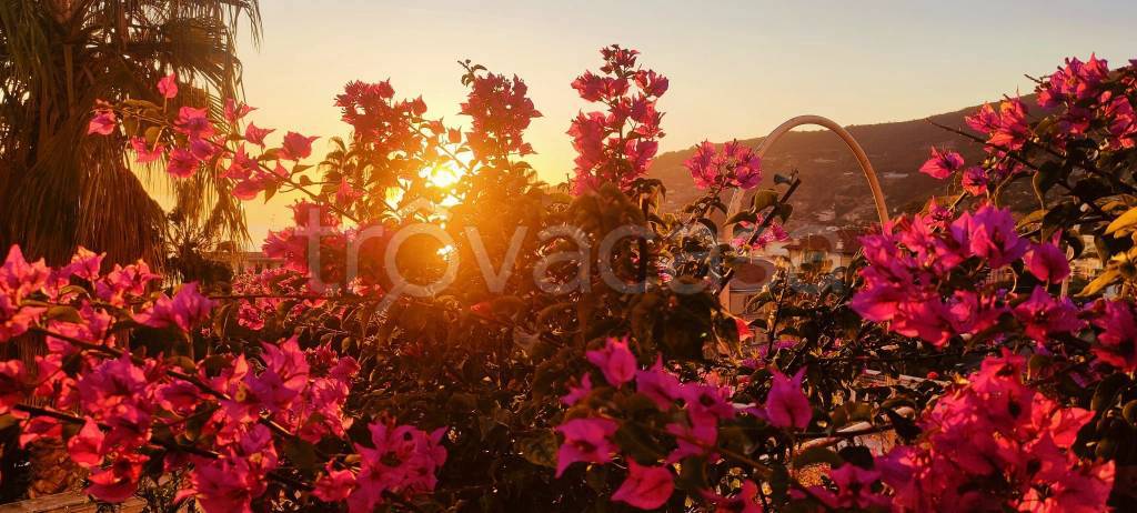 appartamento in vendita ad Ospedaletti