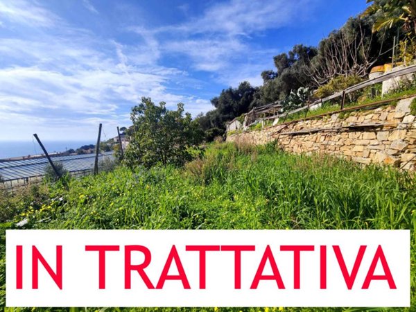 terreno agricolo in vendita ad Ospedaletti