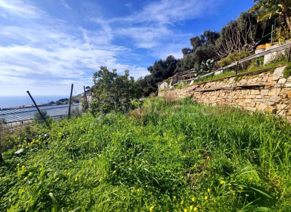 terreno agricolo in vendita ad Ospedaletti