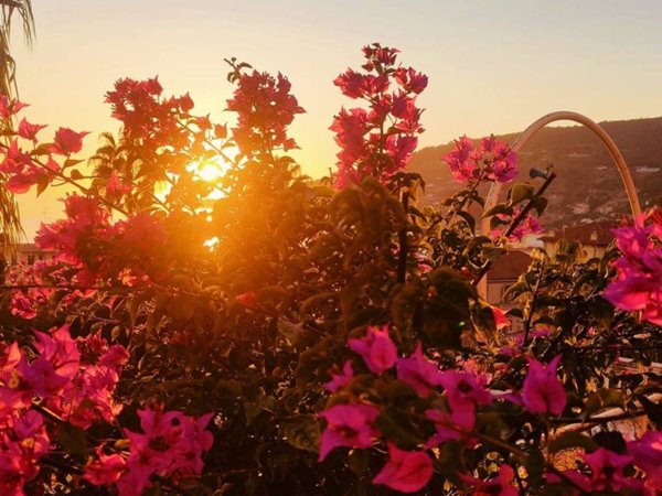 appartamento in vendita ad Ospedaletti