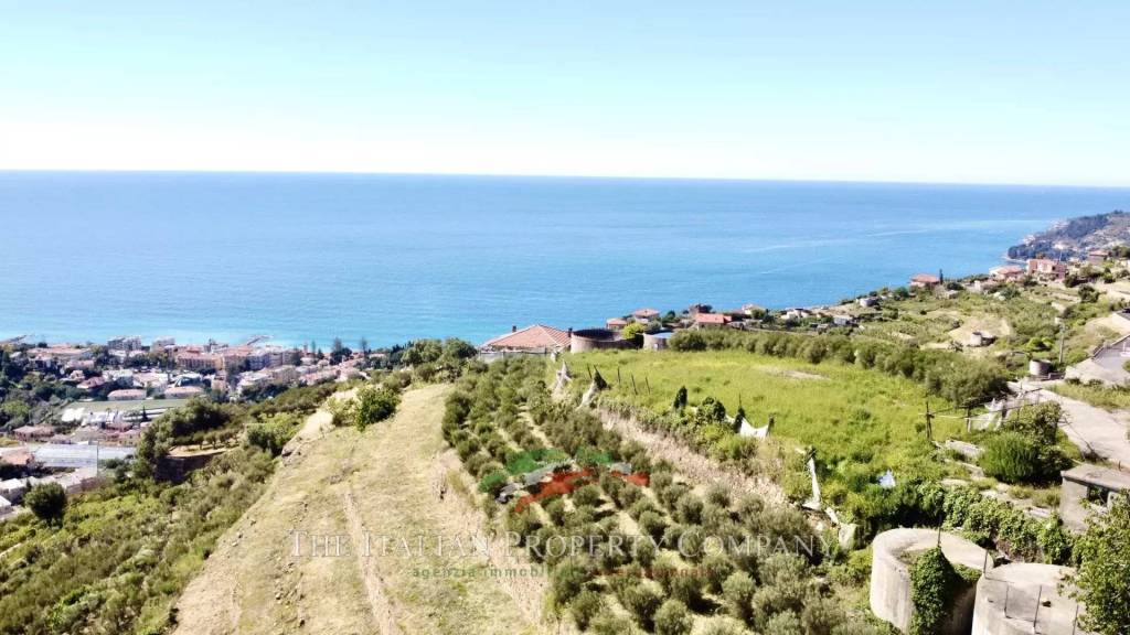 terreno agricolo in vendita ad Ospedaletti in zona Porrine