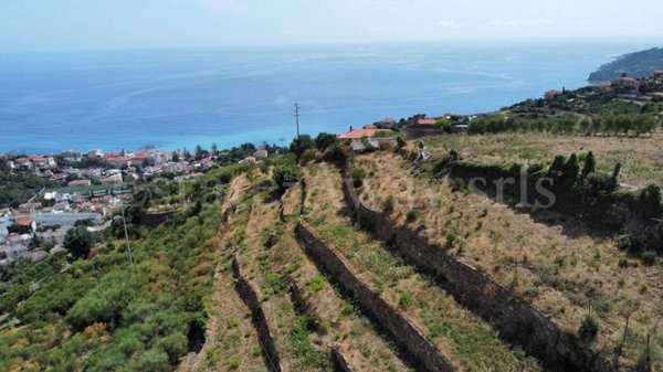 terreno agricolo in vendita ad Ospedaletti in zona Porrine