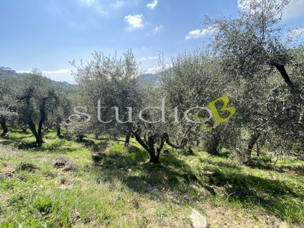 casa indipendente in vendita a Perinaldo