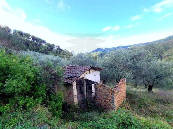 terreno agricolo in vendita a Perinaldo