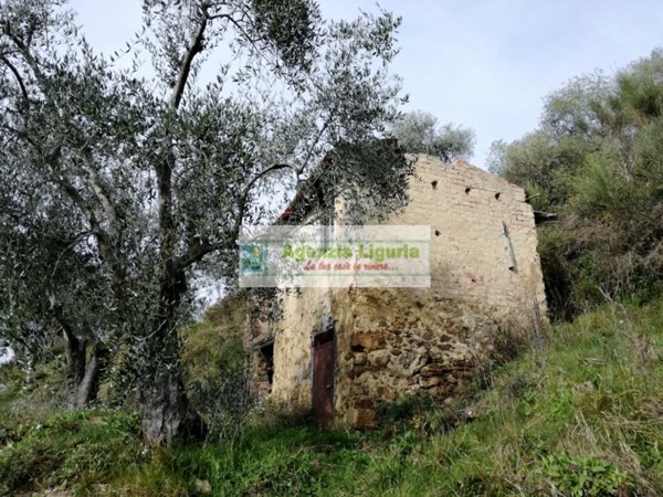 negozio in vendita a Perinaldo in zona Suseneo