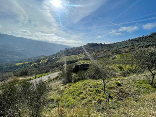 terreno edificabile in vendita a Perinaldo