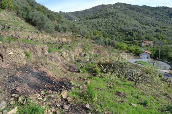 terreno agricolo in vendita a Perinaldo