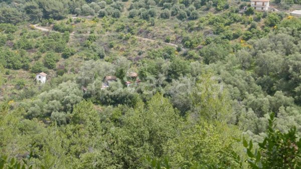 terreno agricolo in vendita a Perinaldo in zona Suseneo