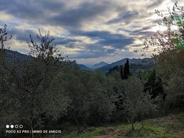 terreno agricolo in vendita a Perinaldo