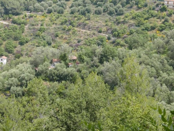 terreno agricolo in vendita a Perinaldo in zona Suseneo
