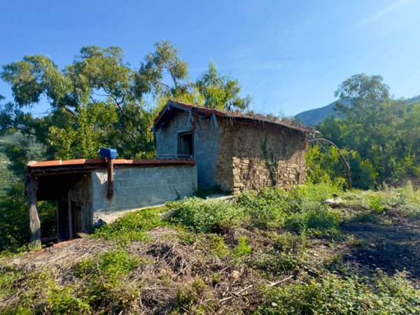 terreno agricolo in vendita a Perinaldo